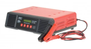 IDEAL EXCHARGE48 PROSTOWNIK EXPERT CHARGER 48 MULTIVOLTAGE 12/24/36/48V