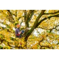 0159500A_01_website(1).png