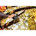0159500A_02_website(1).png