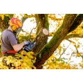 0159500A_03_website(1).png