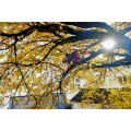 0159500A_04_website(1).png