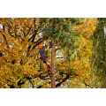 0159500A_05_website(1).png
