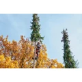 0159500A_06_website(1).png