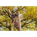 0159500A_07_website(1).png